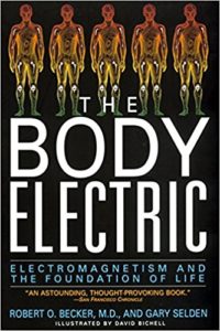 The Body Electric: Electromagnetism And The Foundation Of Life by Robert O. Becker and Gary Selden